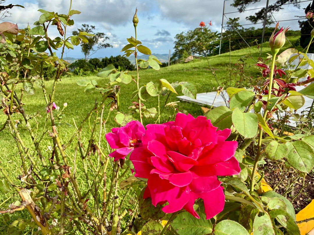 Khao Kho Sacrificial Monument-考柯县必去景点