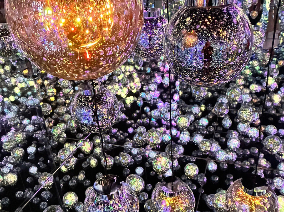 Teamlab Borderless Tokyo-港区必去景点