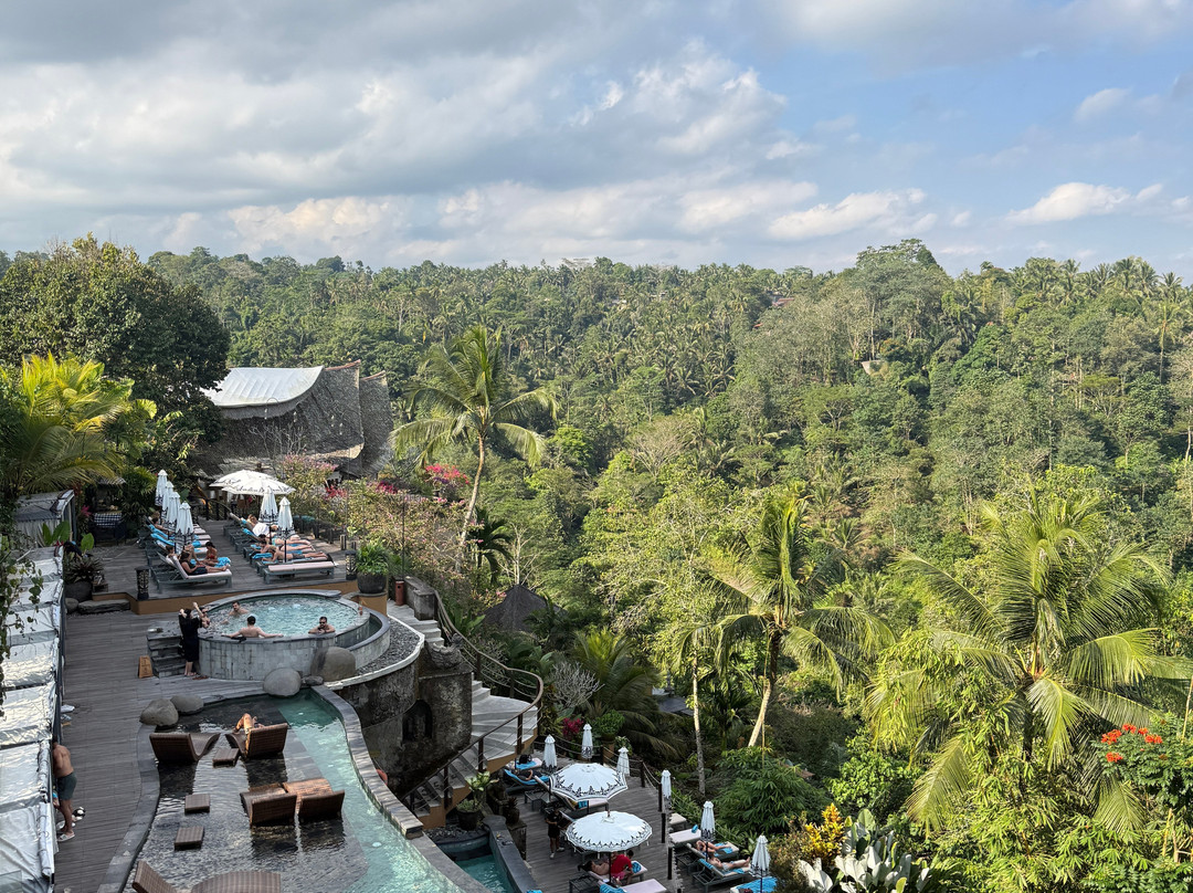 The Kayon Jungle Resort  (Adult Only)主图