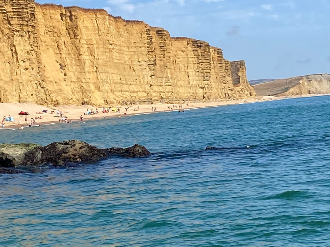 Lyme Bay RIB Charter-West Bay必去景点