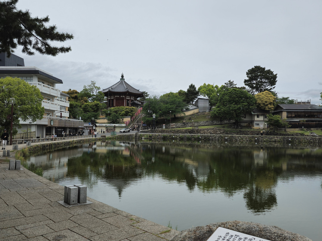 Sarusawa Pond-奈良市必去景点