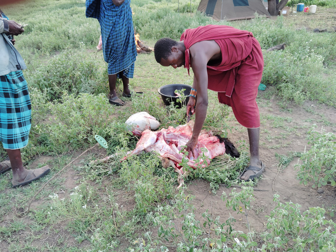 Safari Kenya Tanzania-瓦塔木必去景点