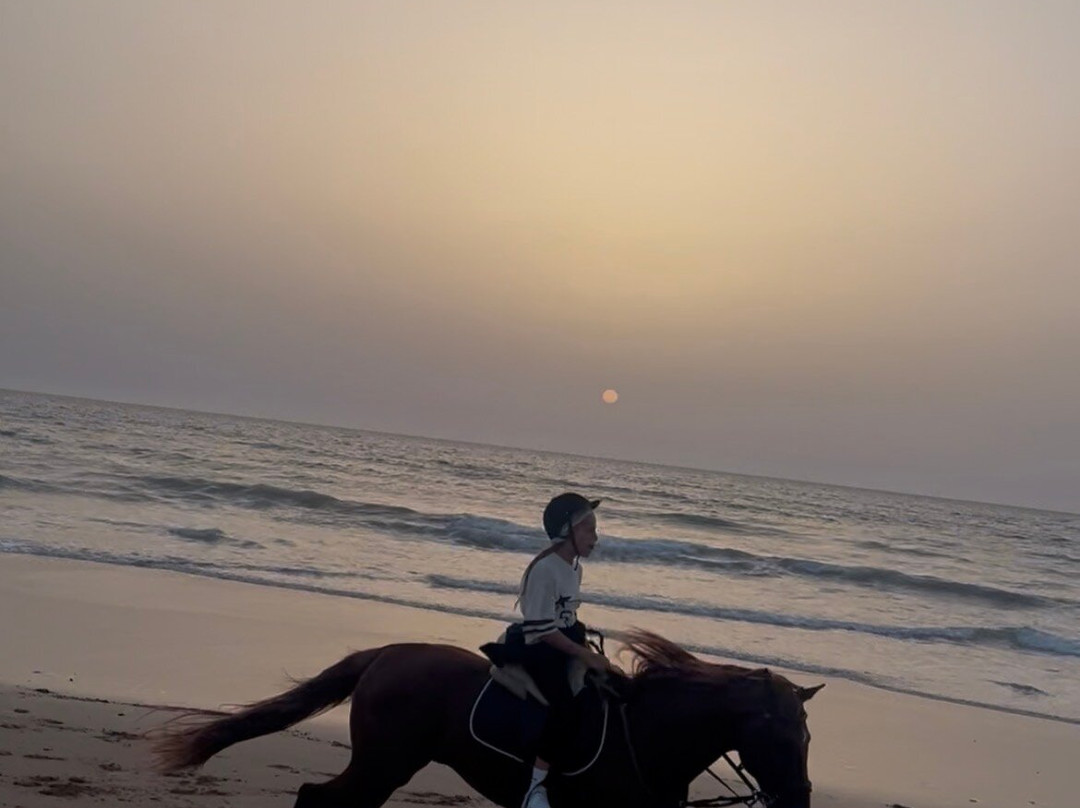 Mogador Horse-Diabat必去景点