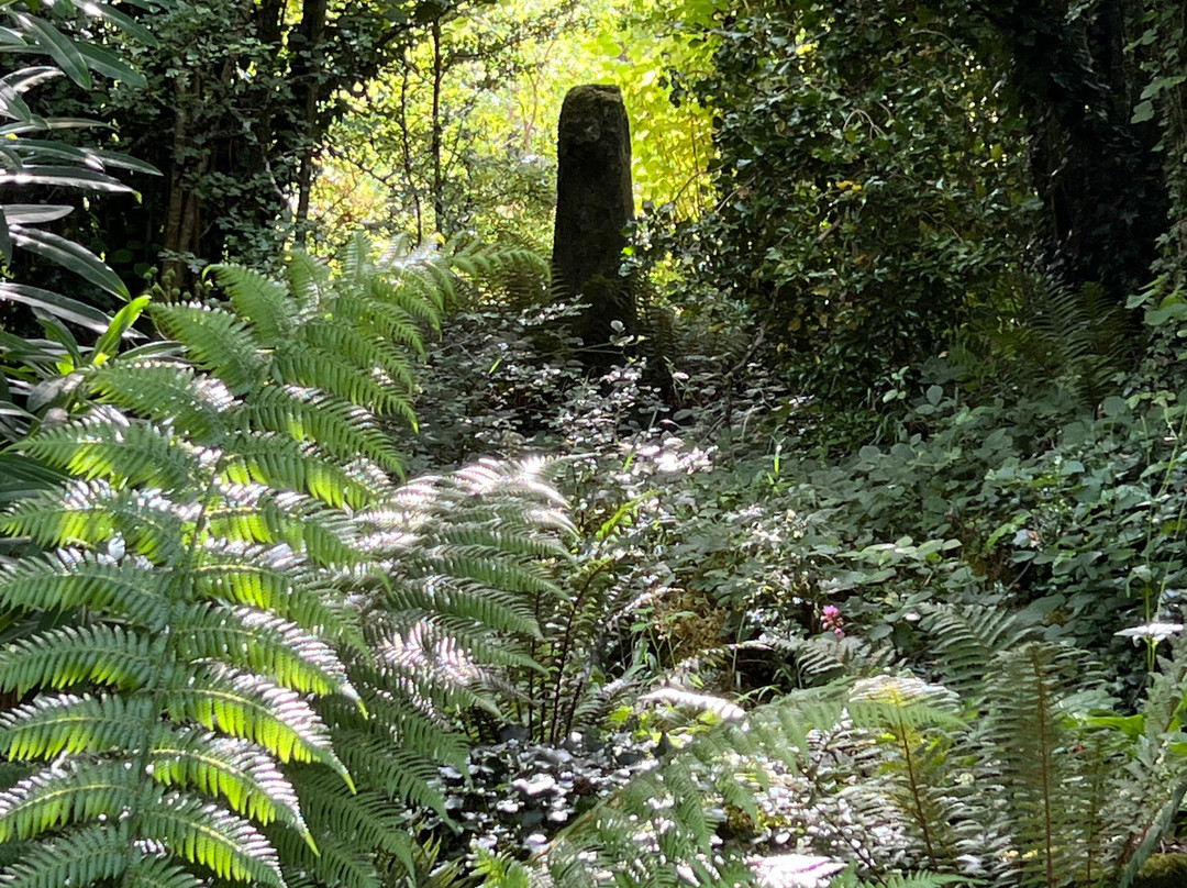 Caher Bridge Garden-Ballyvaughan必去景点