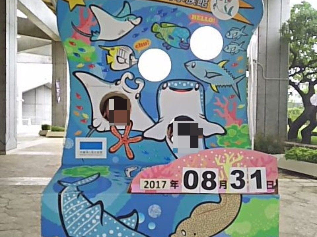 冲绳美之海水族馆-本部町必去景点