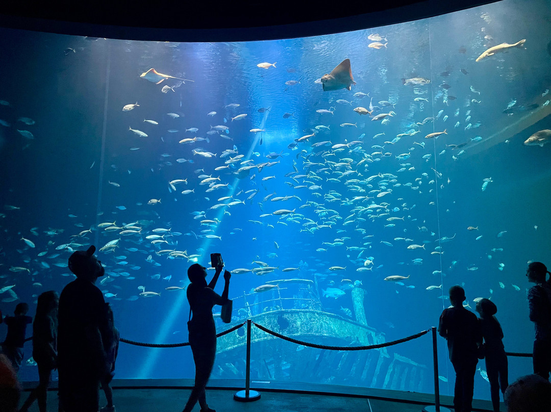 Ozeaneum-施特拉尔松德必去景点