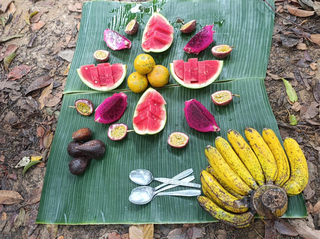 Wild Sumatra Adventure-Bohorok必去景点