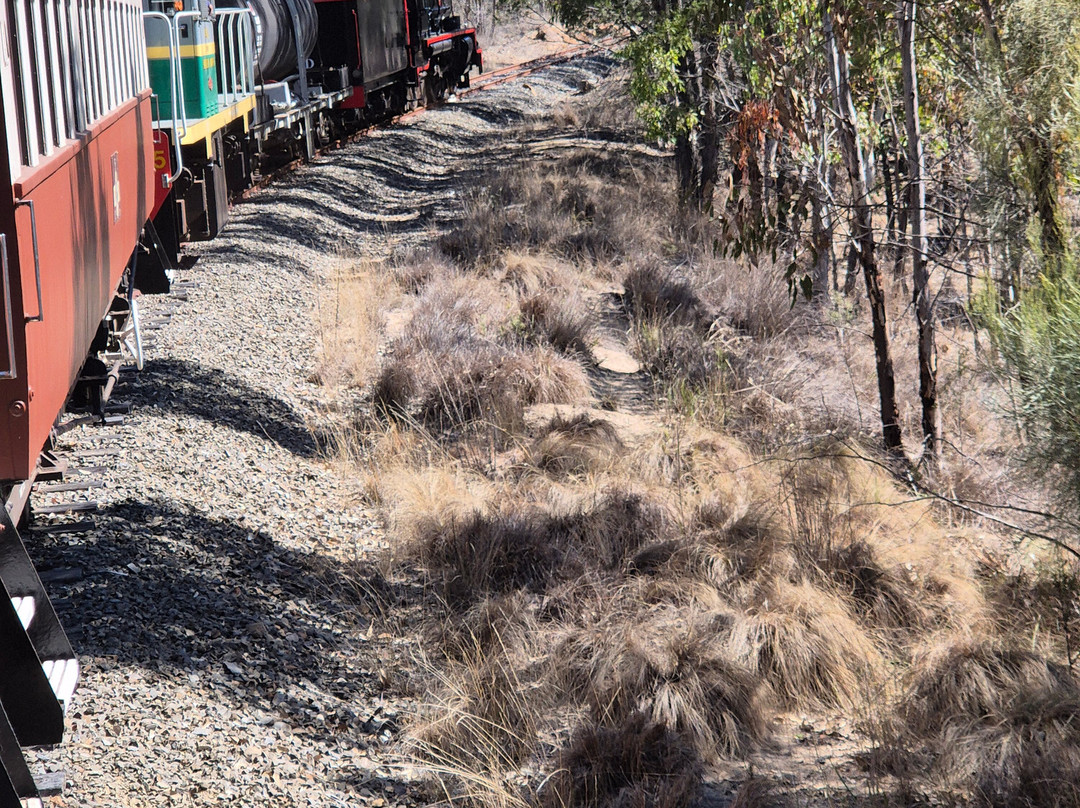 Southern Downs Steam Railway-Warwick必去景点