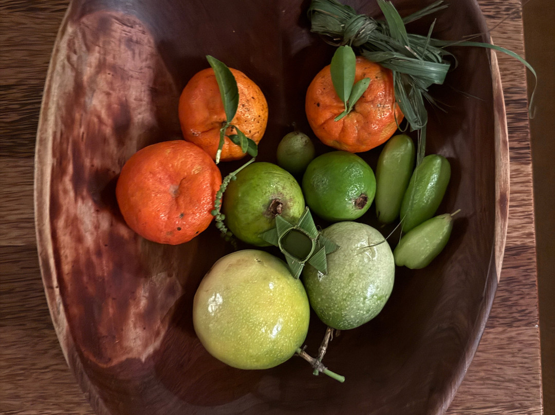 Village Green Spice farm-桑给巴尔岛必去景点