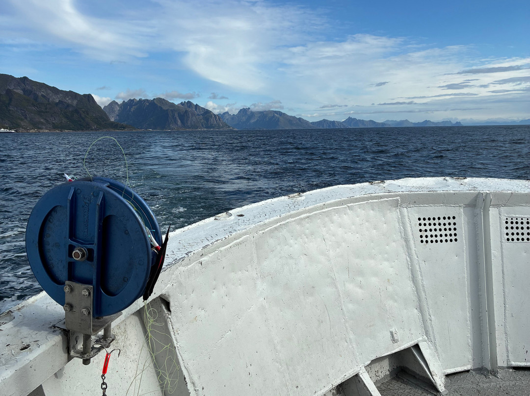 REEL Fishing And RIB Safaries-雷讷必去景点