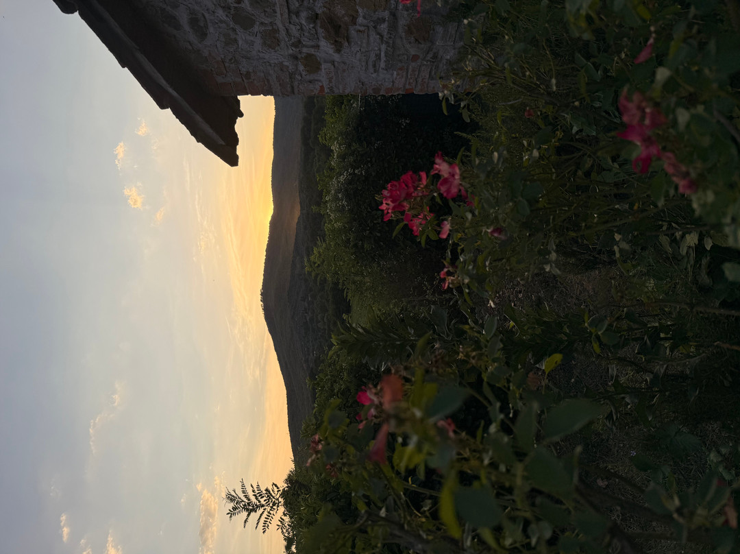Agriturismo Casa Bistino主图