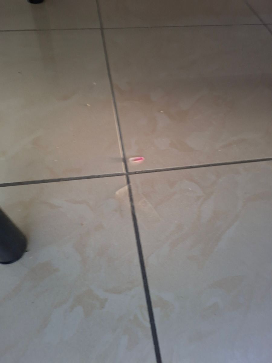 安蒂科特斯特雷托酒店-旅行者