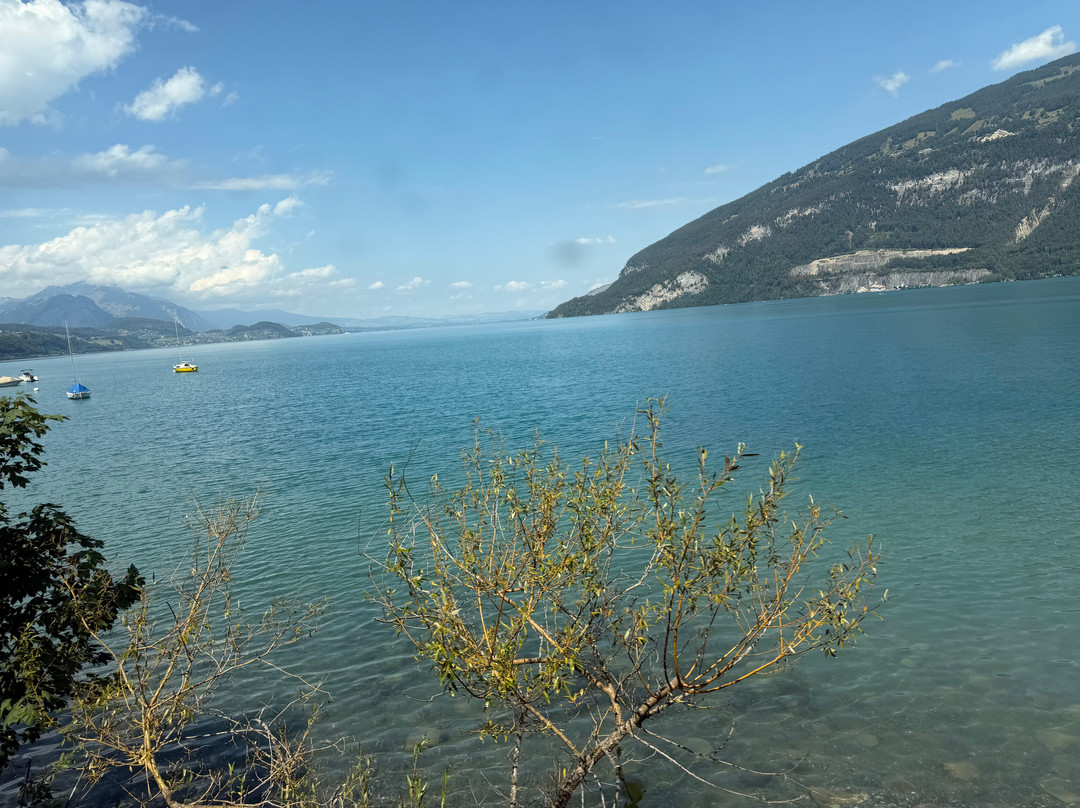 Lake Brienz-布里恩茨必去景点
