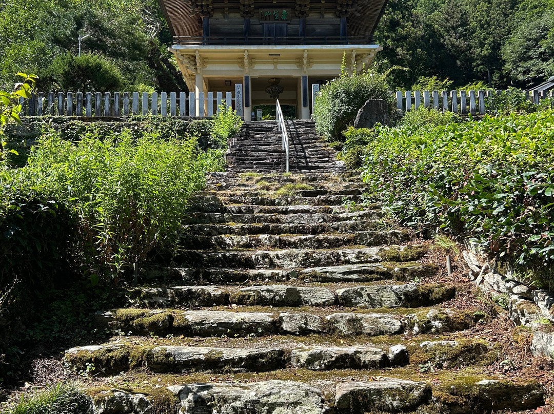 Teifukutera Temple-大豊町必去景点