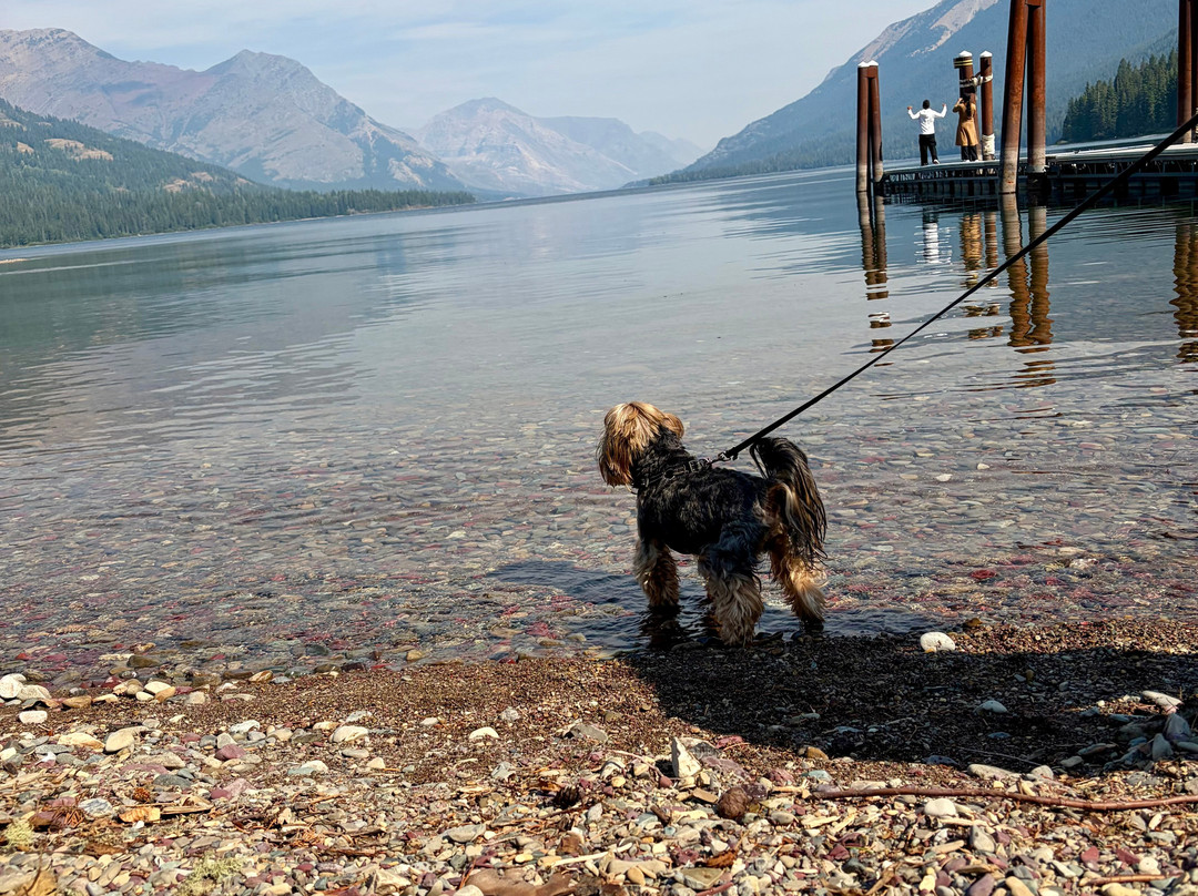Waterton Shoreline Cruise Co.-沃特顿湖国家公园必去景点