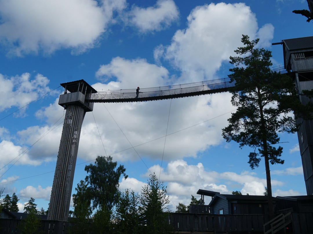 Sweden Zipline-Klavrestrom必去景点