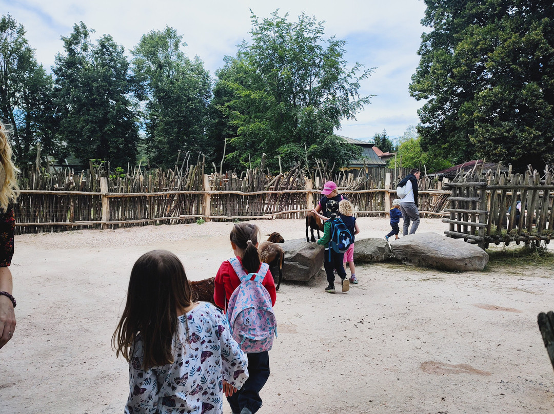Safari Park Dvur Kralove-Dvur Kralove nad Labem必去景点