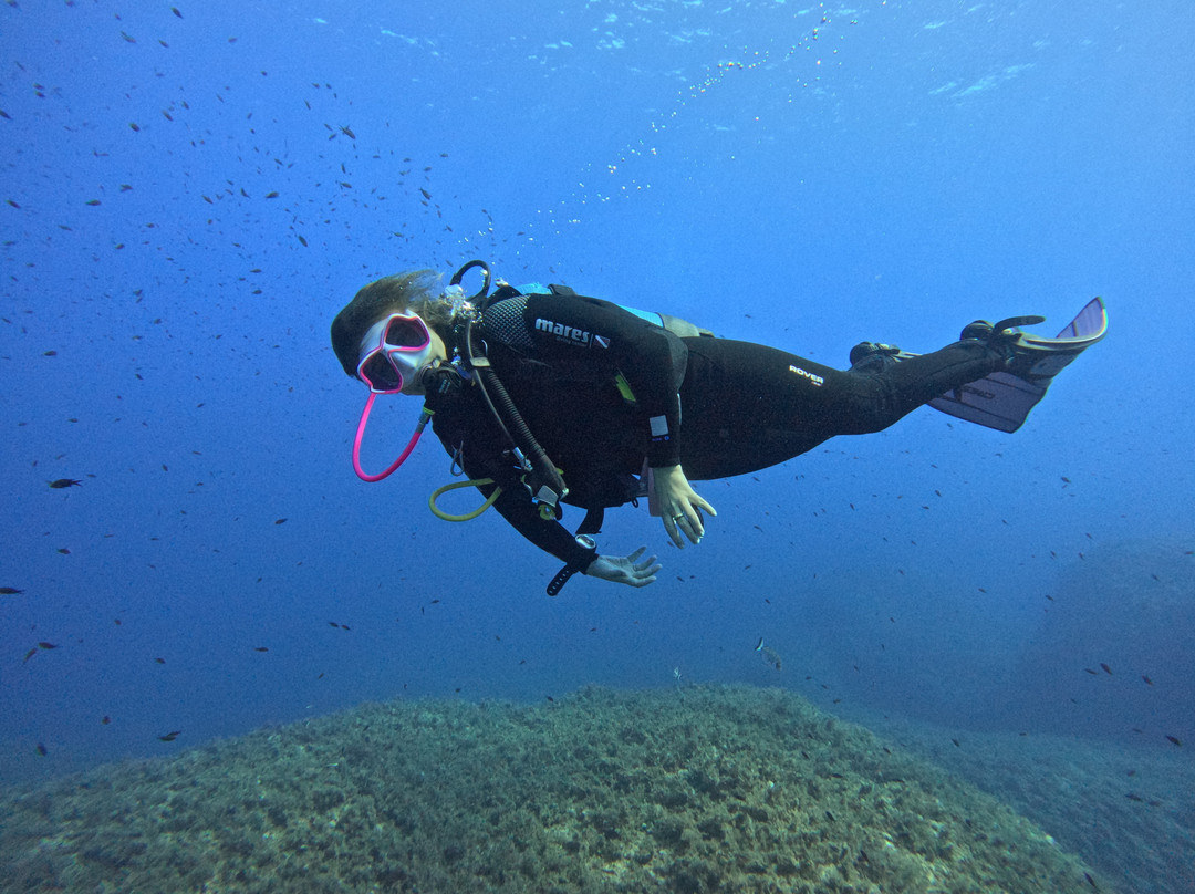 Blu Dive Center-圣特雷莎加卢拉必去景点
