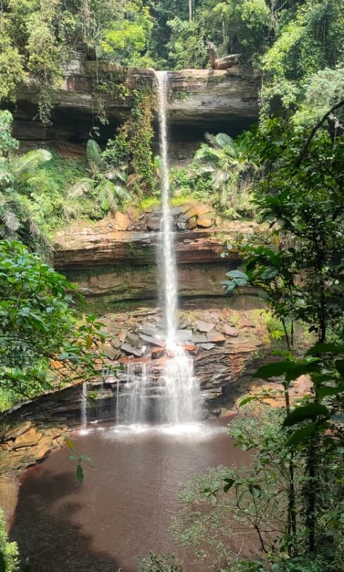 Maliau Basin Conservation Area-斗湖必去景点
