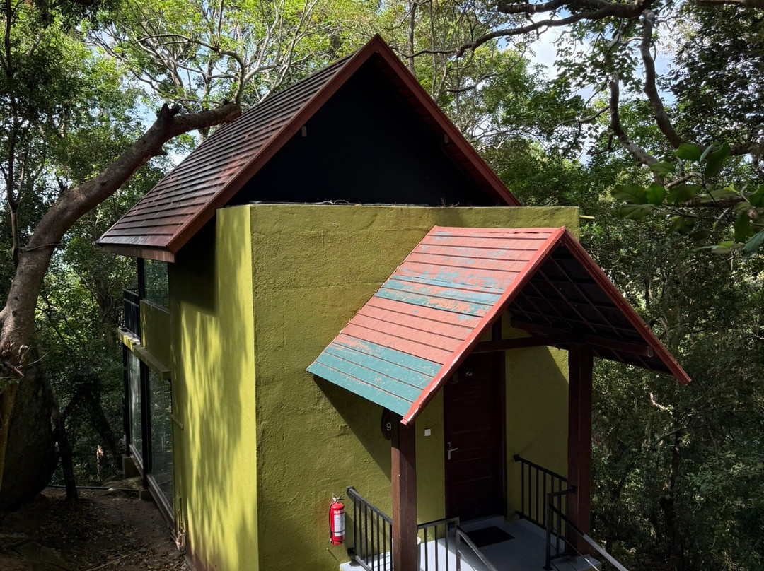阿兰加拉森林小屋主图
