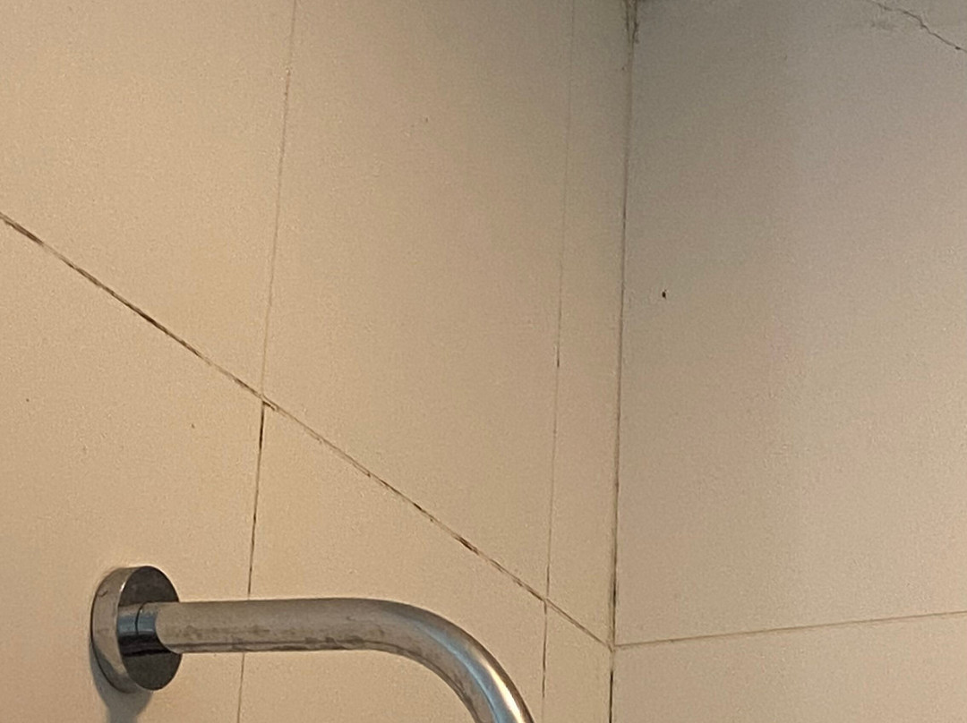 新特西莫度假村主图