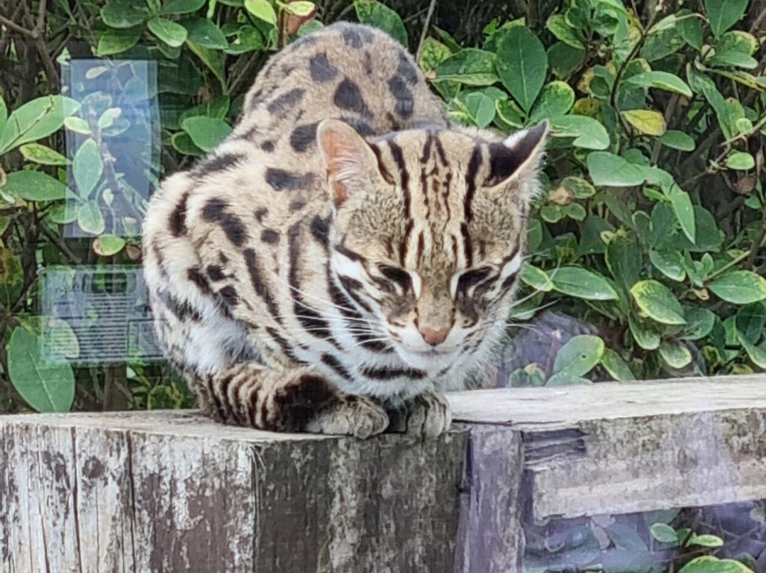 Filey Zoo-Filey必去景点