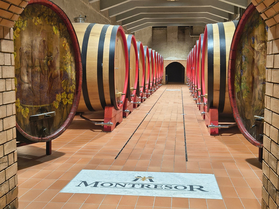 Cantine Giacomo Montresor-维罗纳必去景点