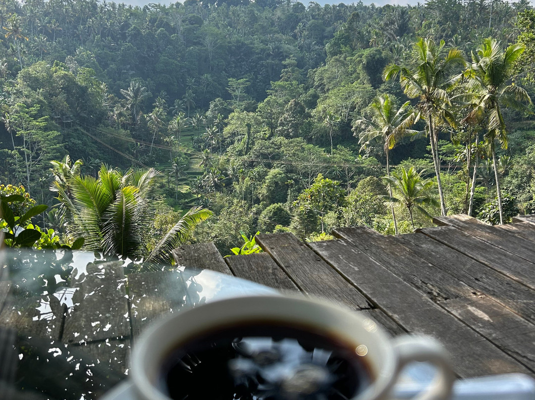 Bali Pulina Coffee Plantation-吉安雅必去景点