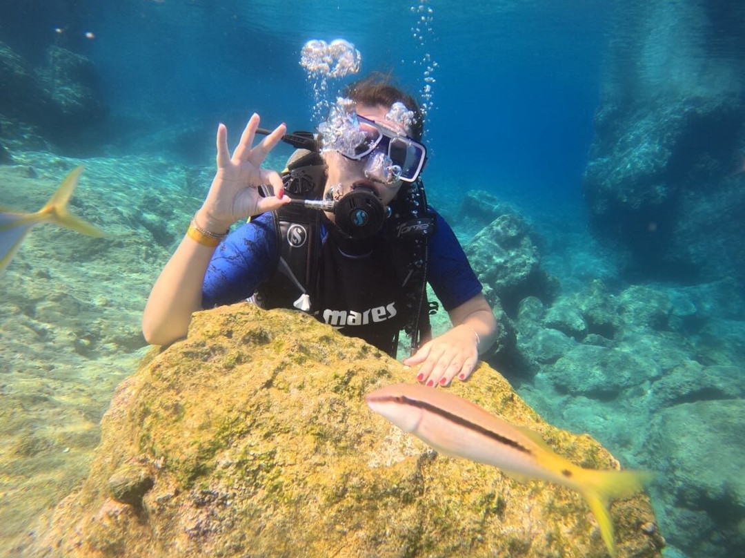 Blue World Diving Center-Tekirova必去景点