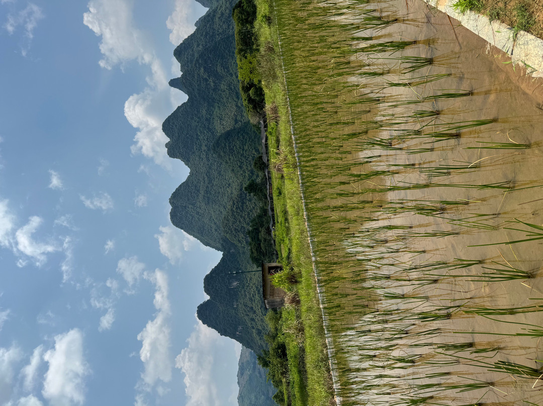 阳朔古迹山水园-阳朔县必去景点