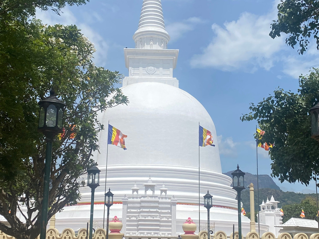 Ceasor Tours-Bopitiya必去景点