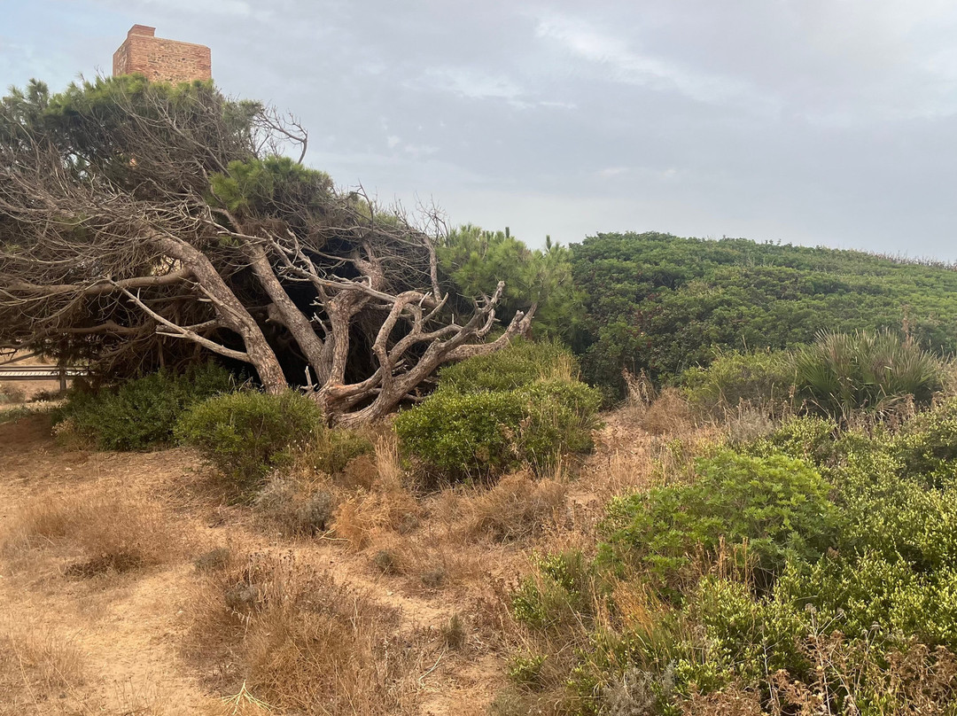 Cabopino Beach-马贝拉必去景点