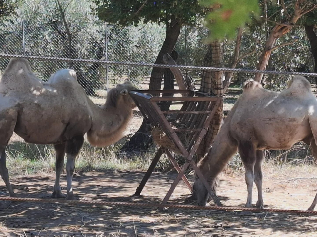 Zoo d'Abruzzo-Rocca San Giovanni必去景点