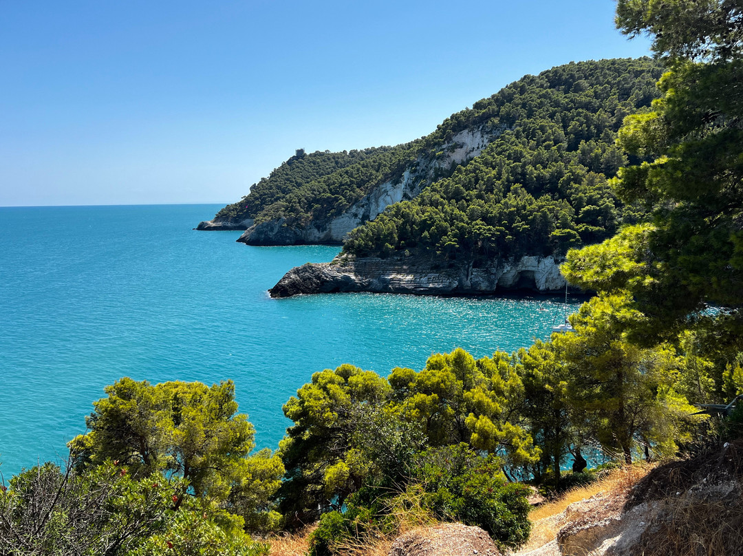 Spiaggia Pugnochiuso-维耶斯泰必去景点