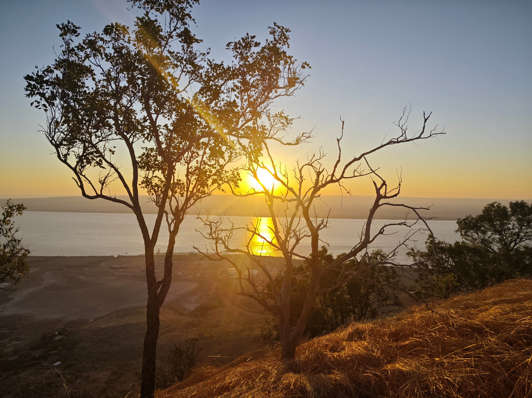 Five Rivers Lookout-Wyndham必去景点