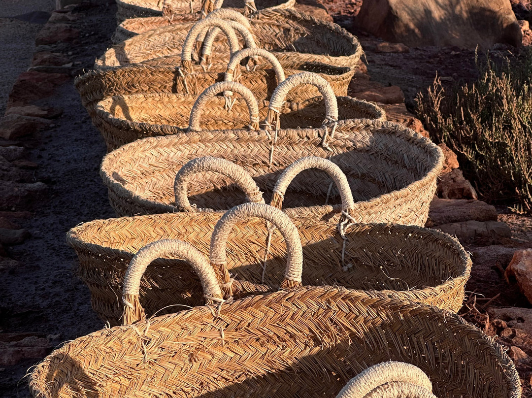 Sal de Menorca - Salinas de La Concepción-Mercadal必去景点