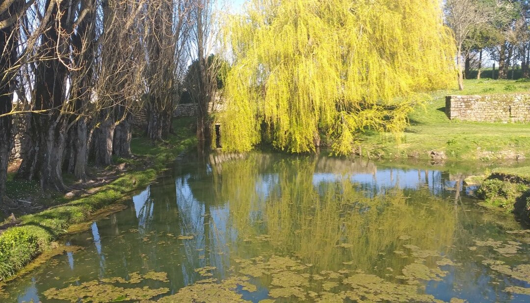 Château de Feusse-Saint-Just-Luzac必去景点