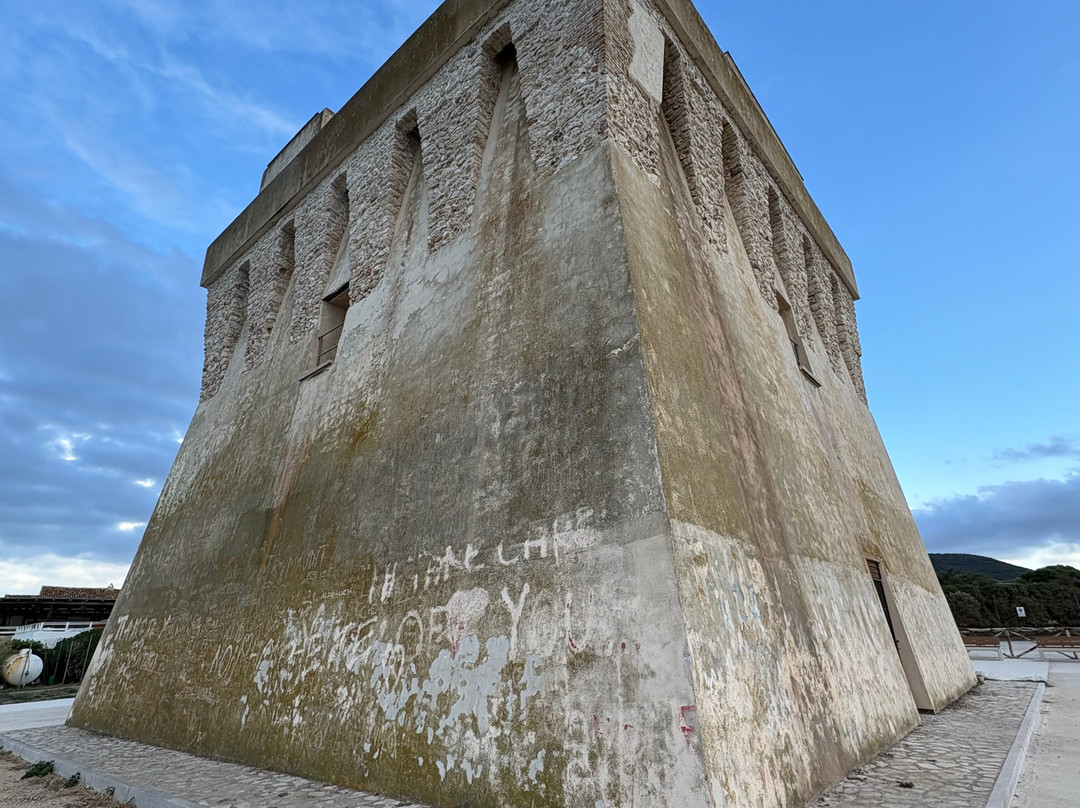 Spiaggia di Torre Mileto-San Nicandro Garganico必去景点