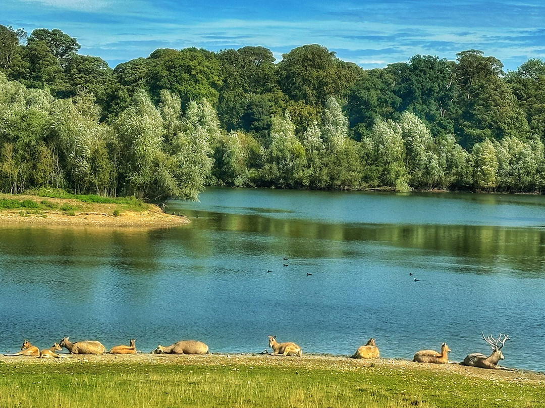 Watatunga Wildlife Reserve-金斯林必去景点