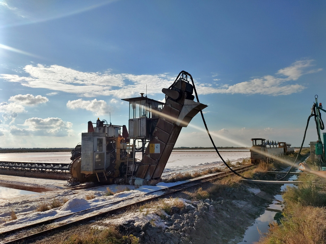 Parco della Salina di Cervia-切尔维亚必去景点