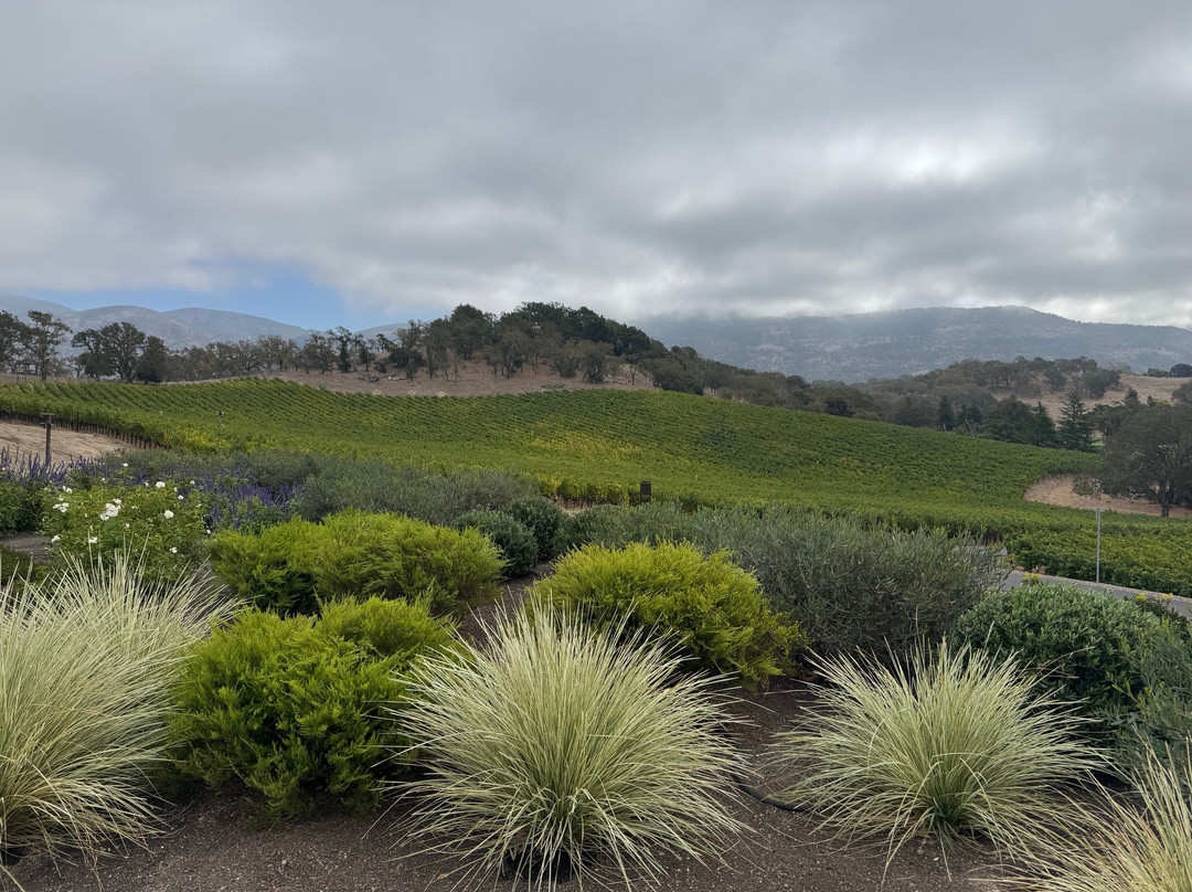Shadybrook Estate Winery-纳帕必去景点