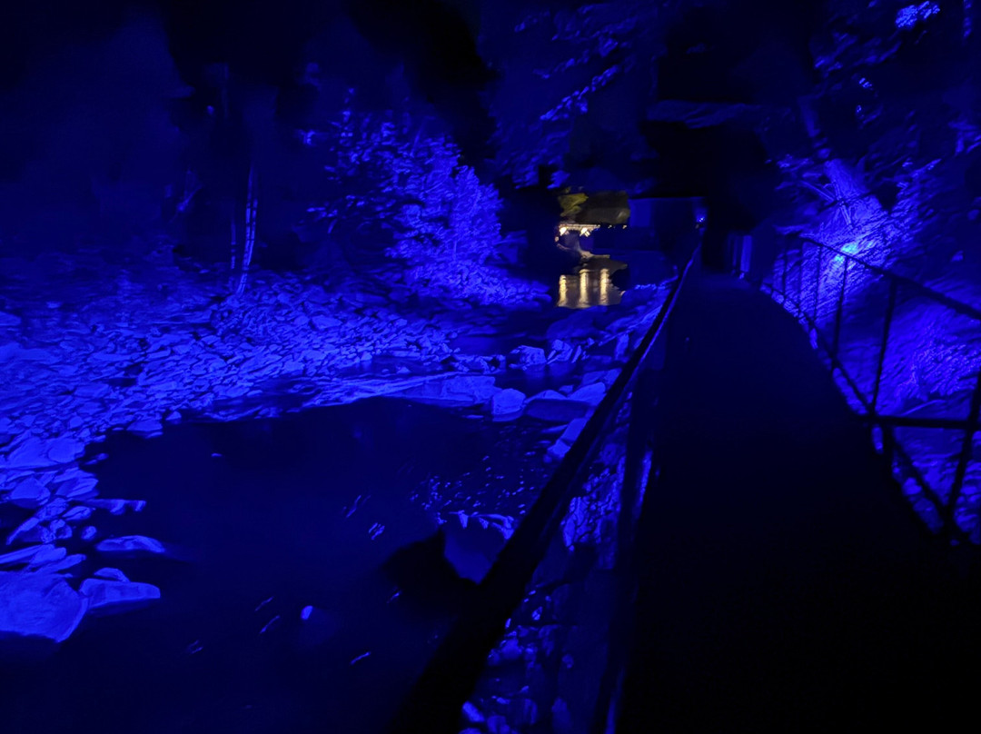 Foresta Lumina-Coaticook必去景点
