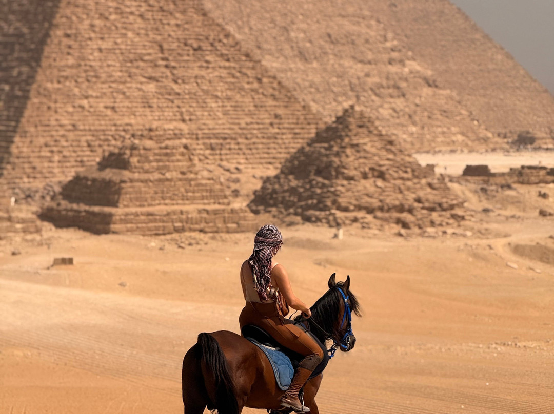 Horse Trips Egypt-Tunis必去景点