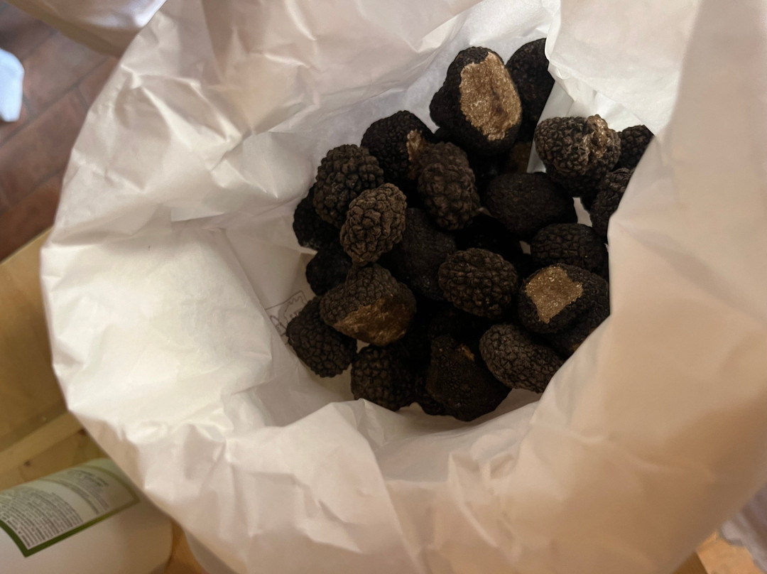 Tuscan Cooking Class at Villa Cicolina-蒙特普尔恰诺必去景点