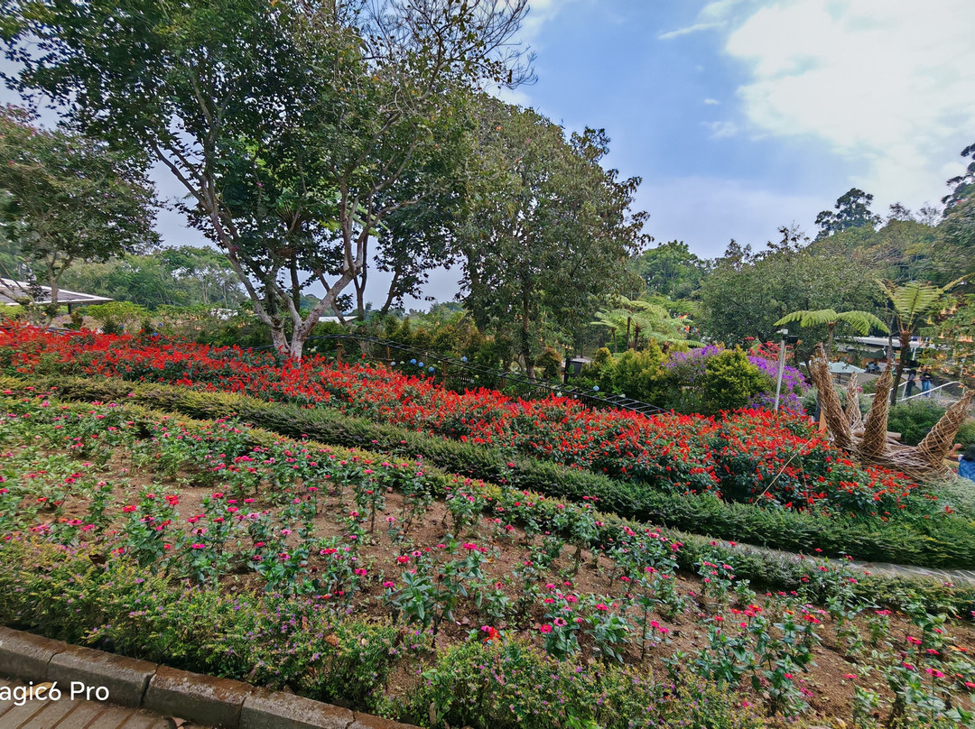 Dusun Bambu Family Leisure Park-万隆必去景点