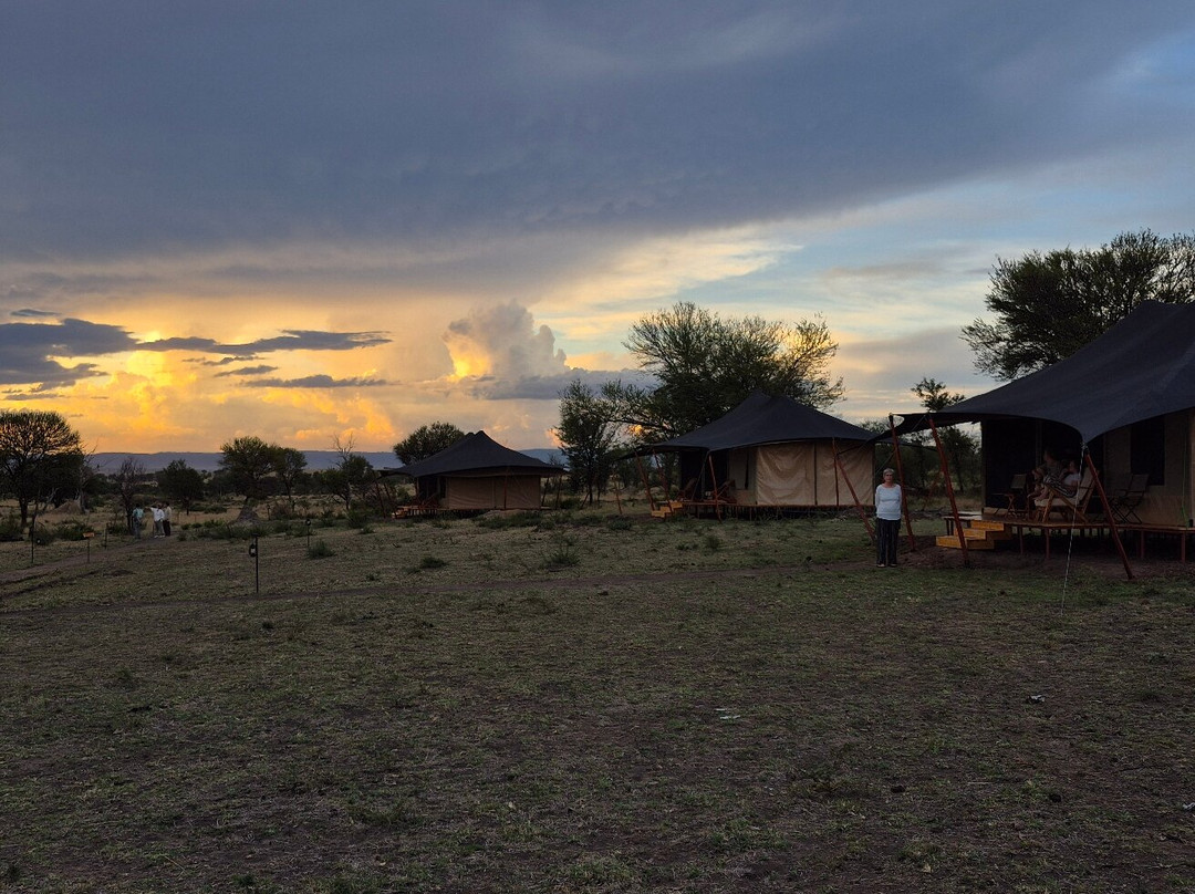 Mbuni Tented Camps-Seronera必去景点