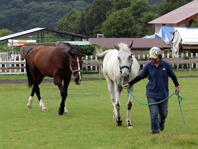 Fuji Milk Land-富士宫市必去景点