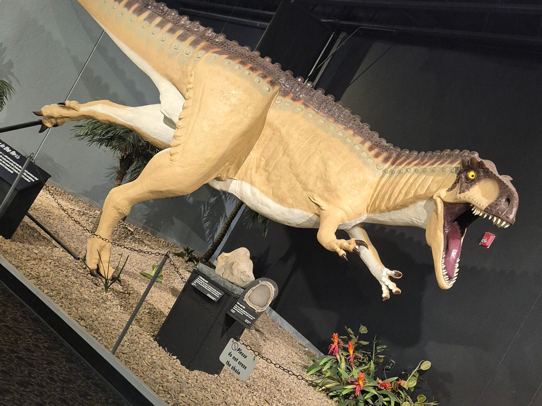 Mesalands Community College's Dinosaur Museum and Natural Sciences Laboratory-图克姆卡里必去景点