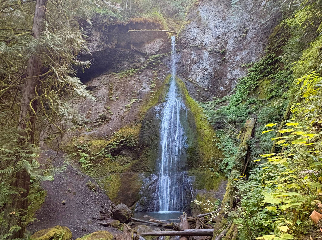 Marymere Falls-安吉利斯港必去景点