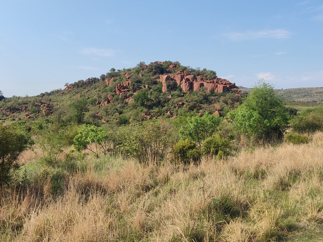 Pilanesberg National Park-太阳城必去景点